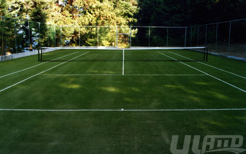 �W(w��ng)��������ƺ