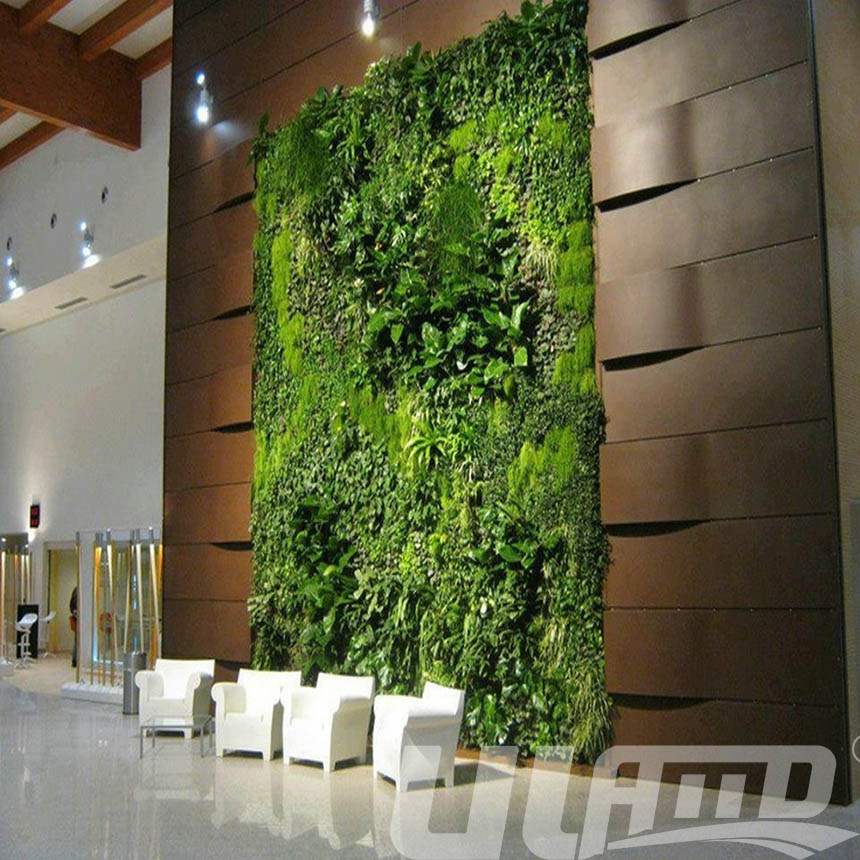 ���澰�^ֲ�