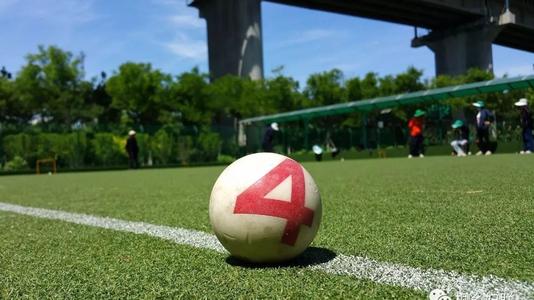 �T��������ƺ