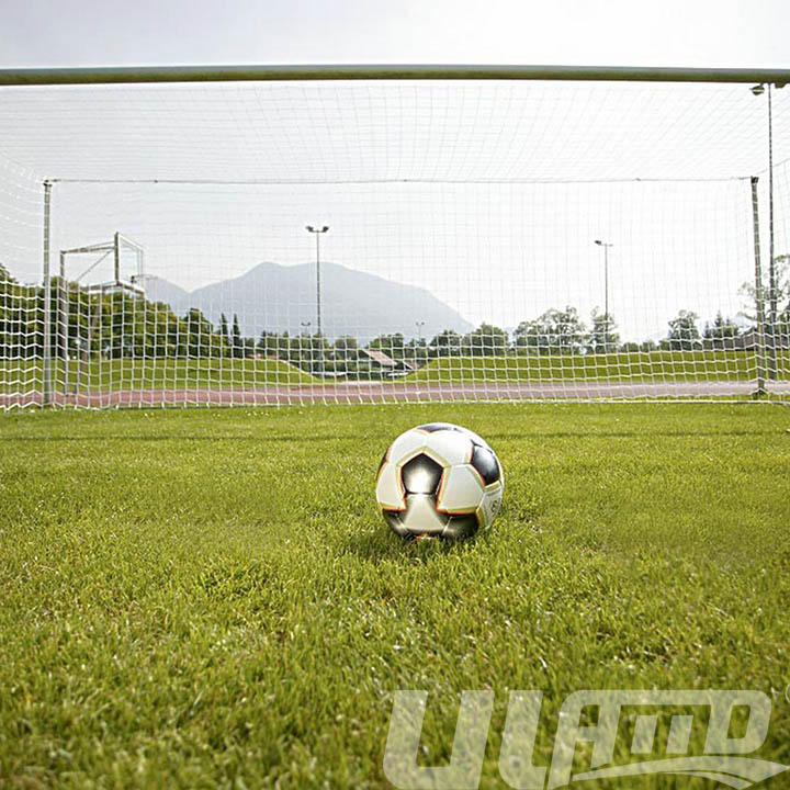 ��������ƺ