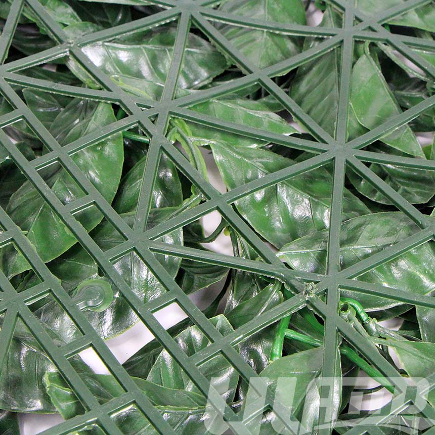 ����ֲ��A004�װ�