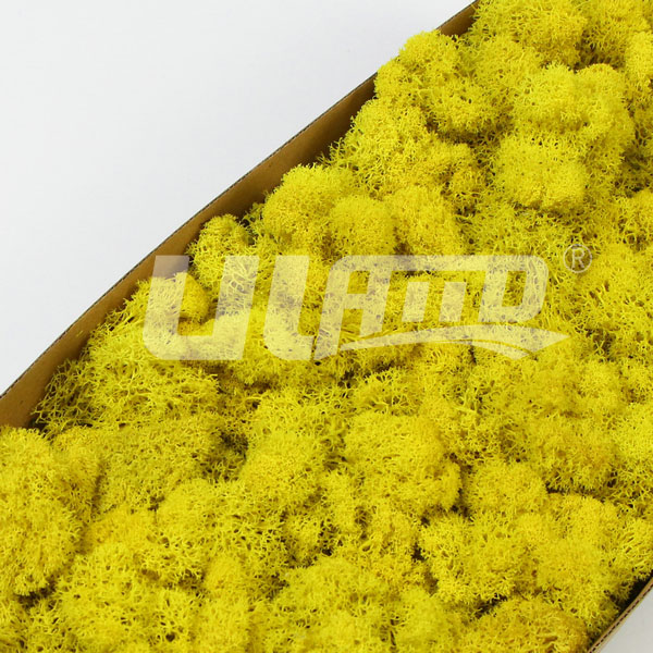 �Sɫ����̦�\