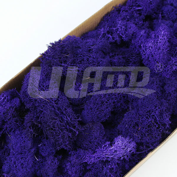 ����ɫ����̦�\