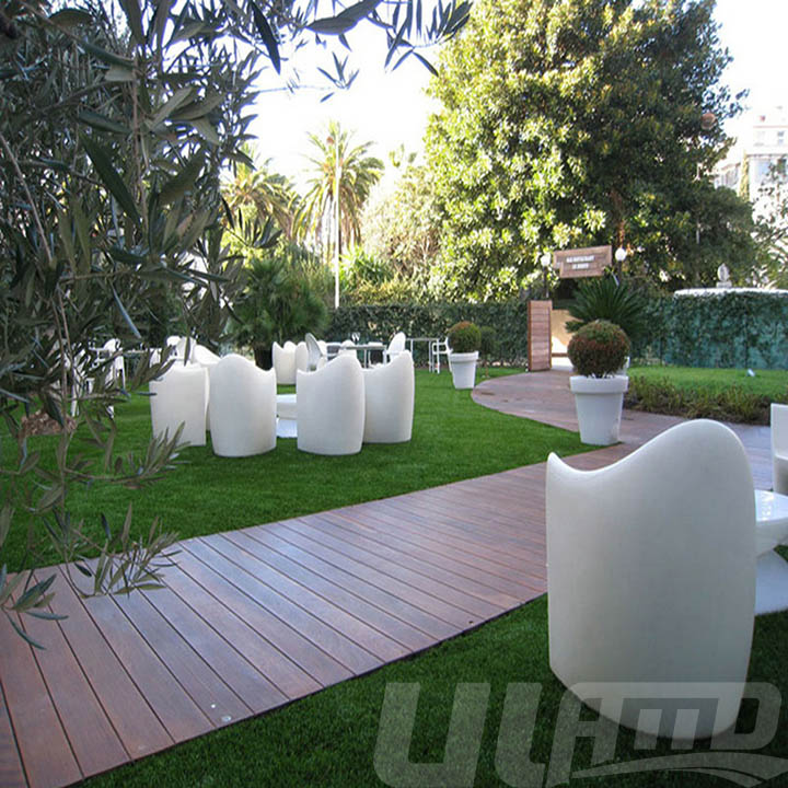 �������ֲ��ƺ