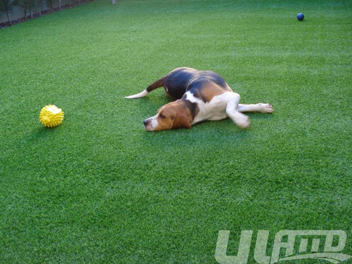 ����������ϲ�ƺ