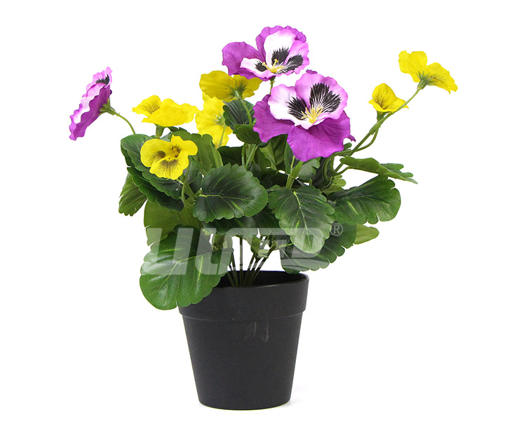 ���滨����