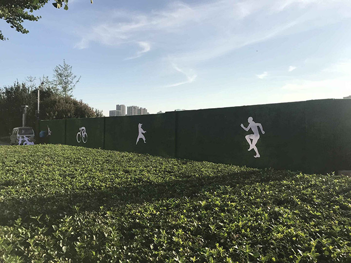 �����ƺ����