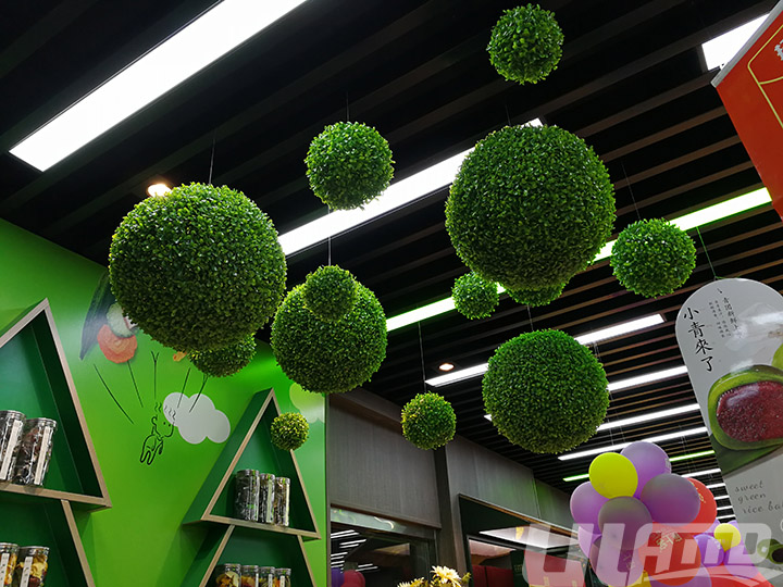 ֲ�����b��̈����