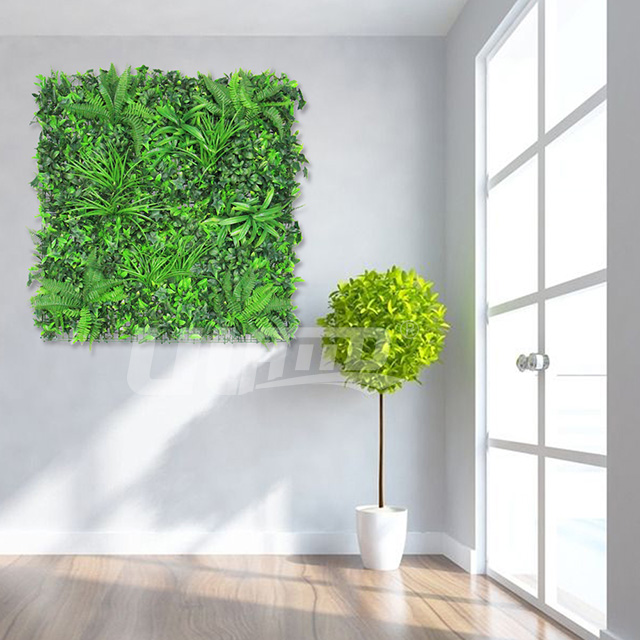 �ڒ����Gֲ