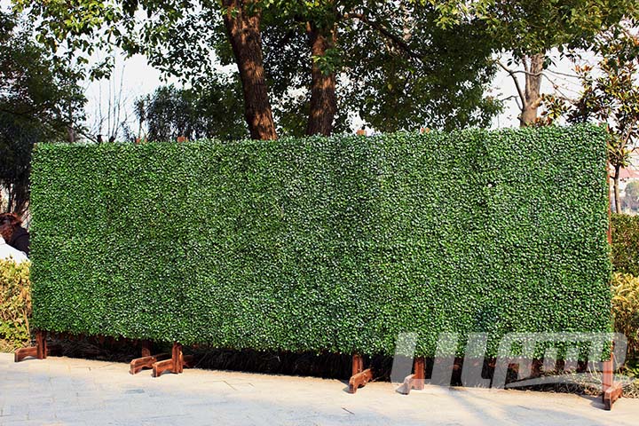 ���Ƅ�����ֲ��řډ�