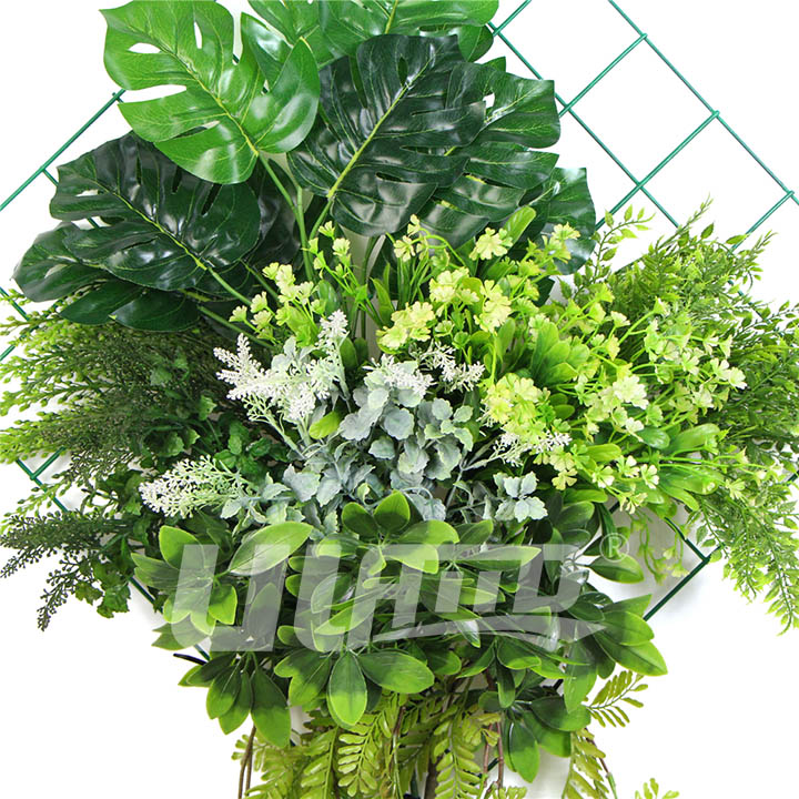 ���Ʒ���ֲ��ڒ�