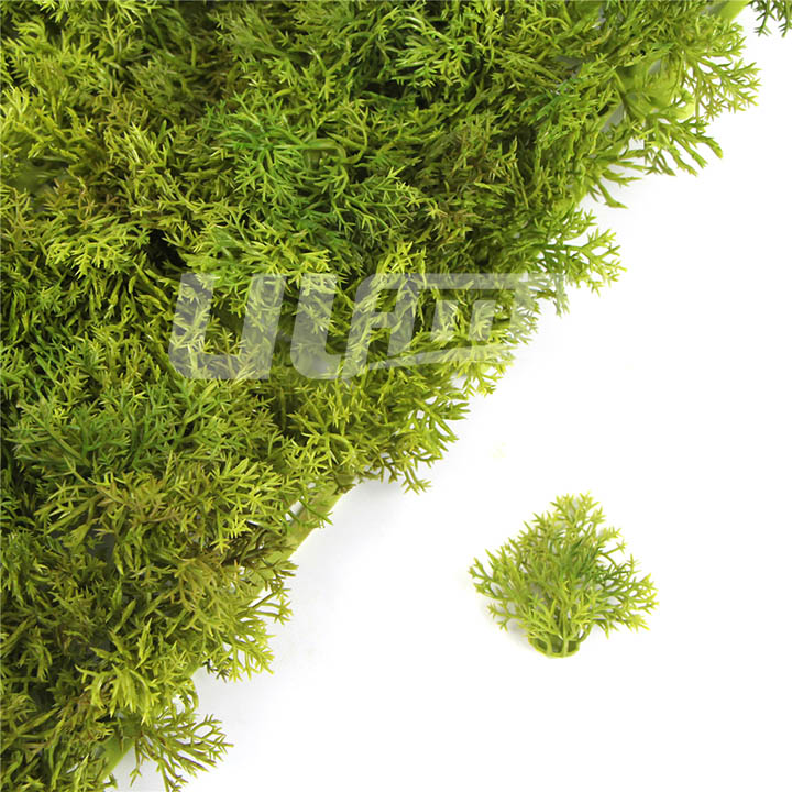 Ƭ�����ֲ��A123