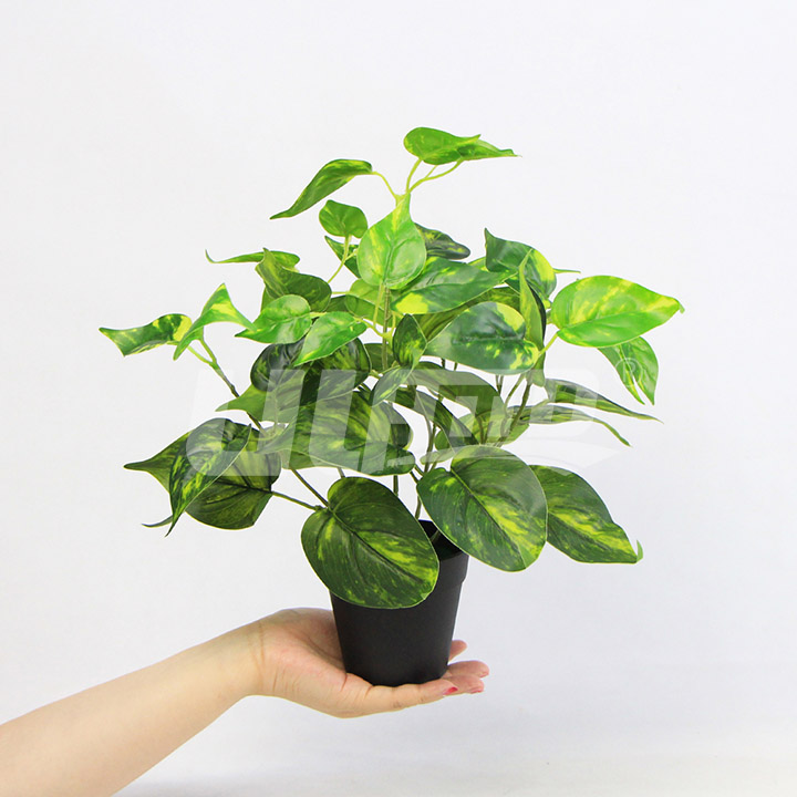 ���������i�Ĳ�