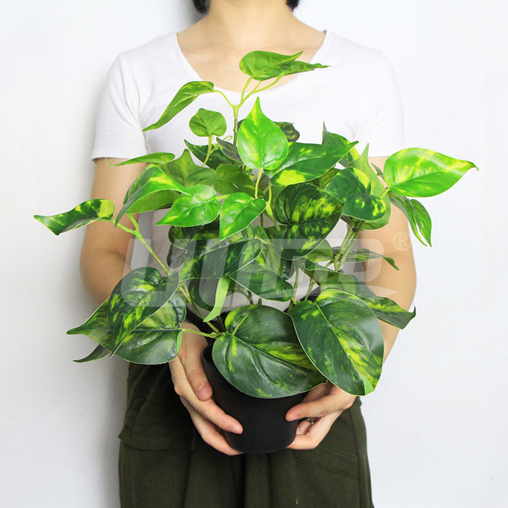 ����С�����i�Ĳ�