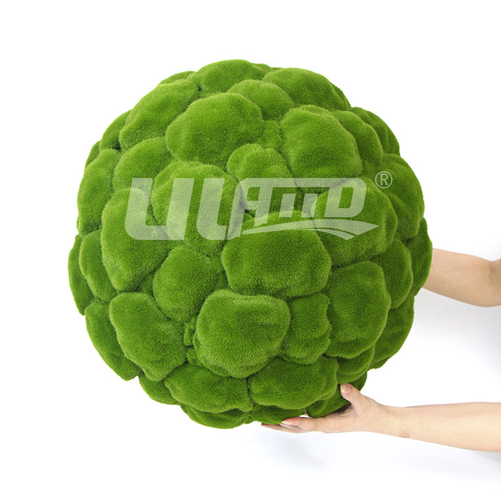 ̦�\��ƺ��ë�A��