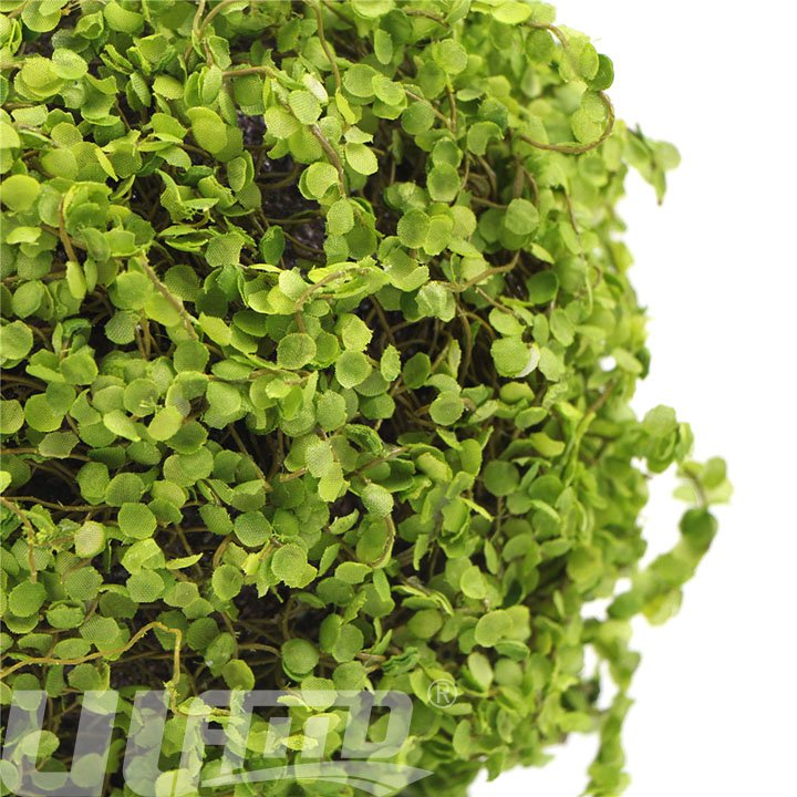 ��ֲ�����