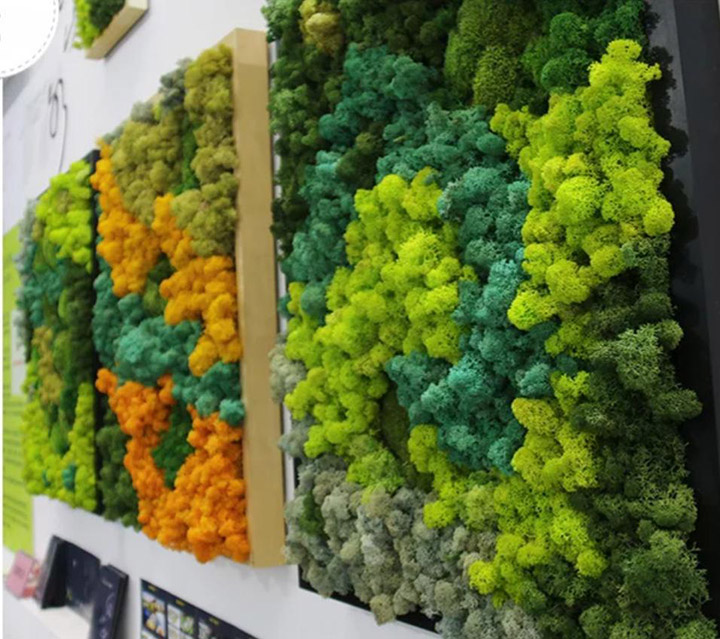 �ڒ��������̦�\