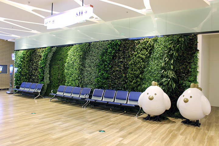 �̈���ֱ�G��ֲ�