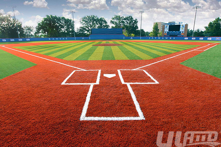 ����������ƺ