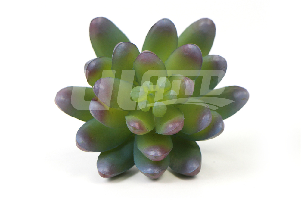 ��ɫ�������