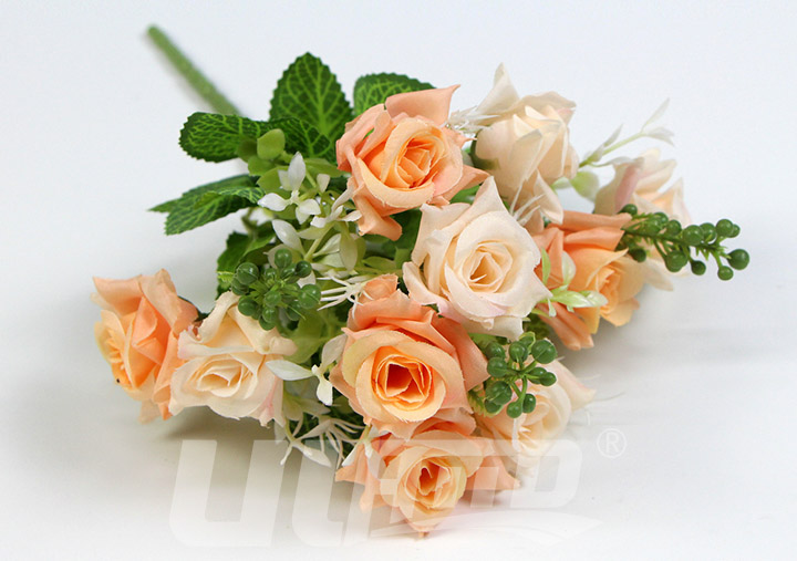 ����õ�廨F101