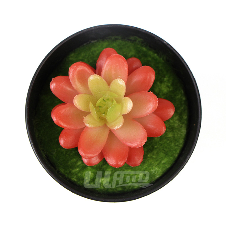 ����ֲ������ɫ����