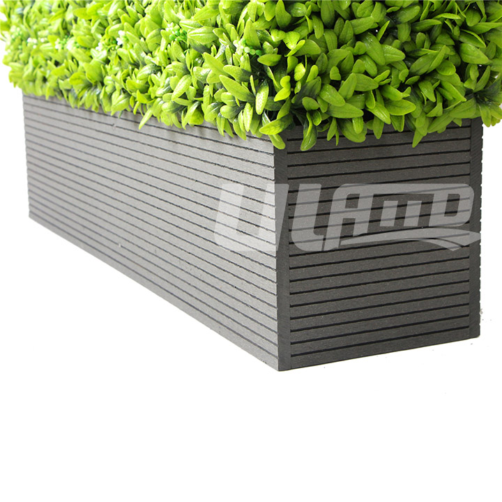 ����ֲ�����L