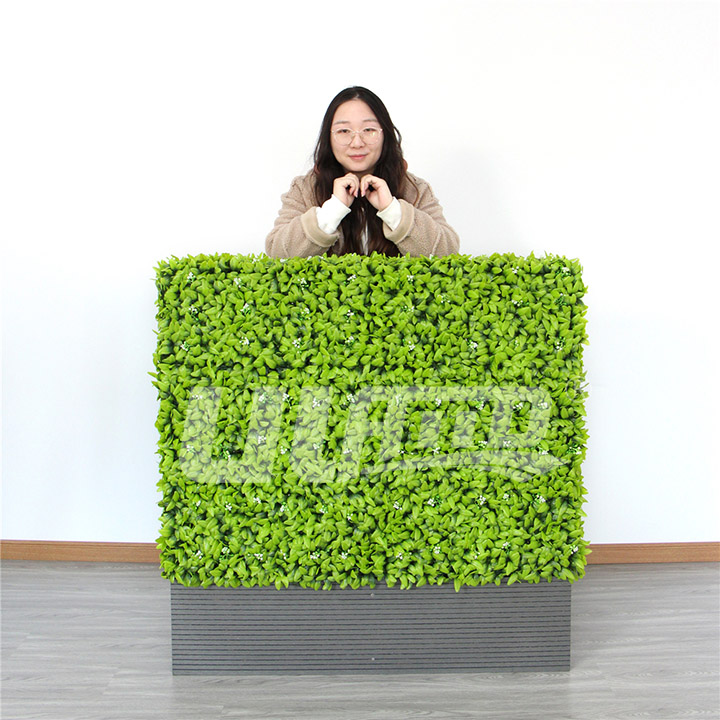 ����ֲ�����L�߶�