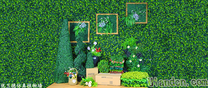 �Ͼ����m�·���ֲ�