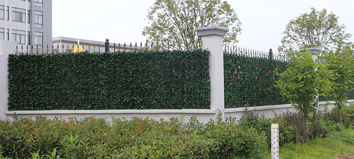 �S�^�����G���b�