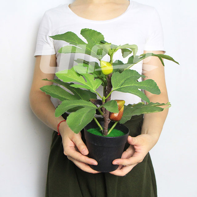 ����С���ԟo����