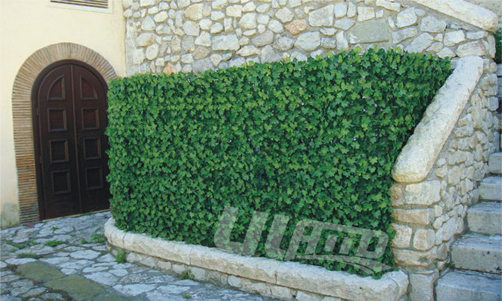 �������G����