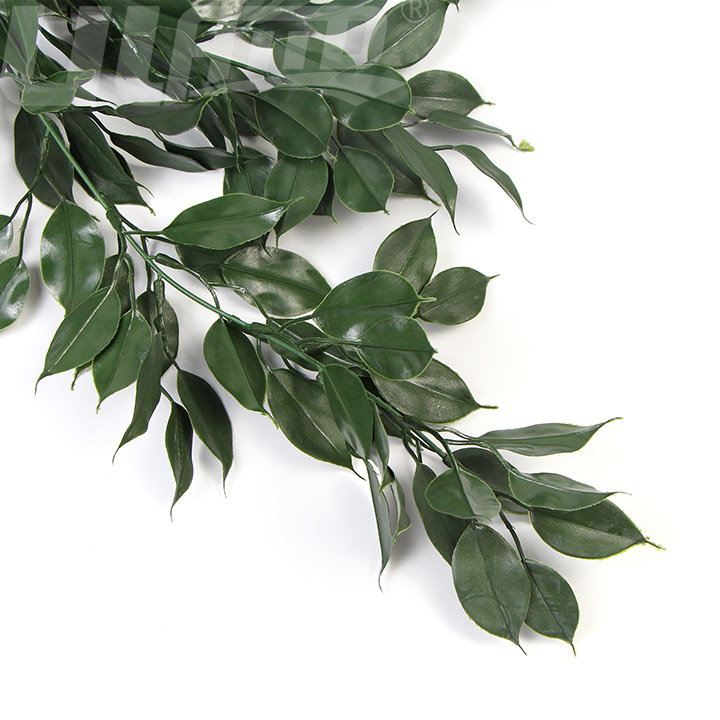 �������ֲ��BG047