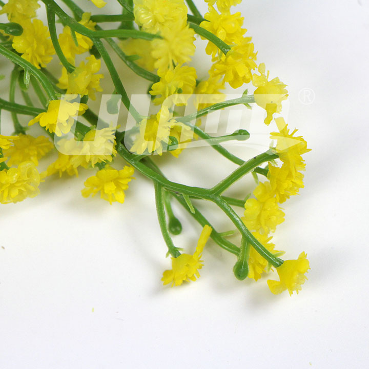 �������ϻ��M�����Sɫ