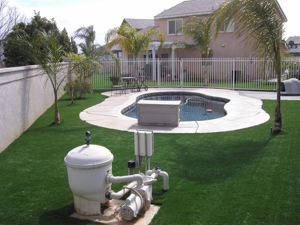 �����ƺ��b���ͥԺЧ���D