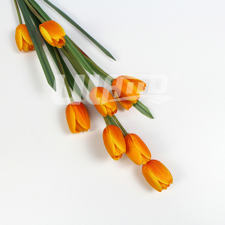 ����ֲ�ﻨ�Sɫ������