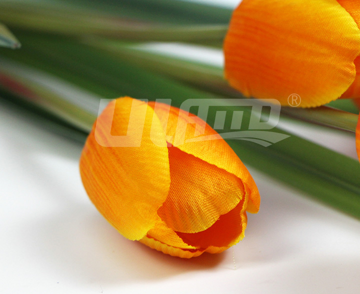 ����ֲ�ﻨ�Sɫ������