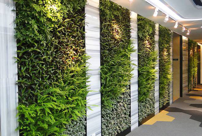 �Ƶ괹ֱ�G������ֲ�