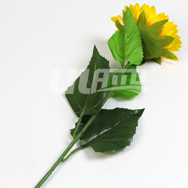 �ٻ����տ�