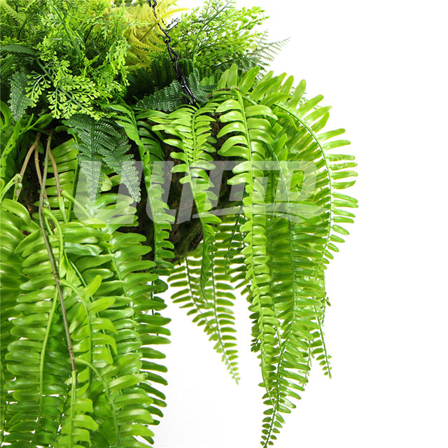 ����Gֲ���@�ֲ������D