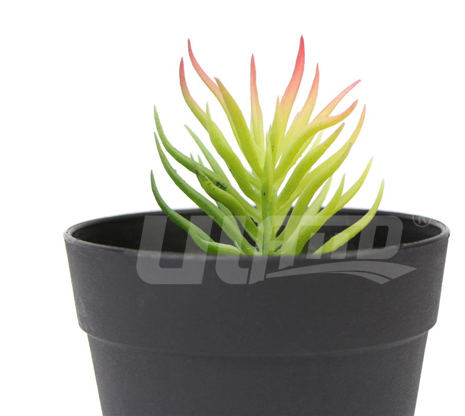 ����ֲ��ٶ���