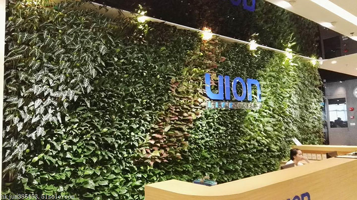 ����Gֲ���͉�