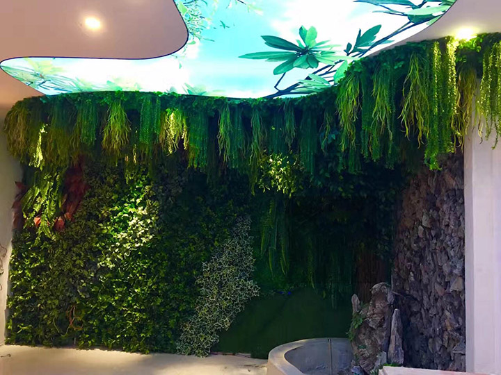 ����ֲ�����͉�