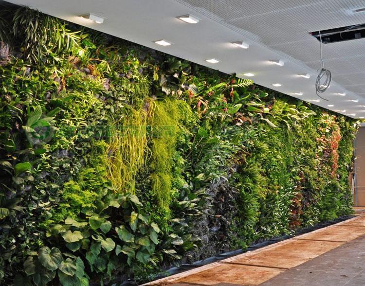 �҃����w����ֲ�