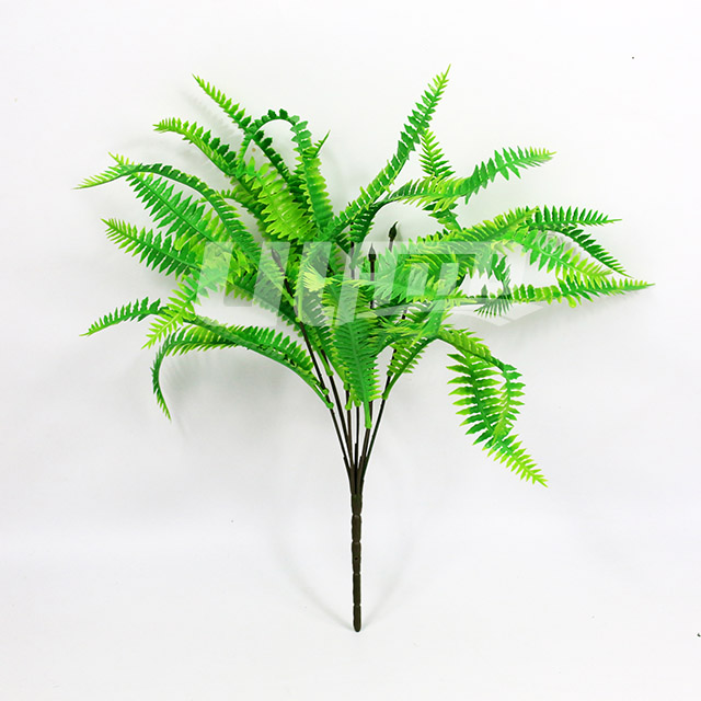 �������ֲ��