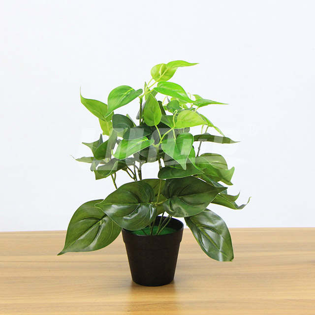 ����С����