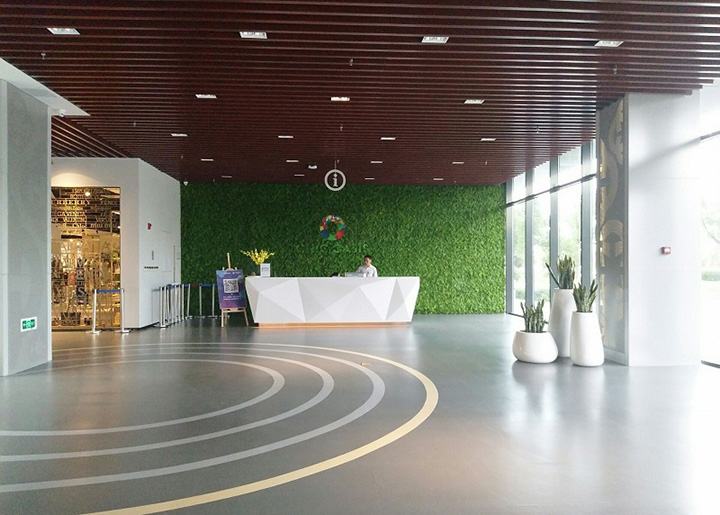 �̈������_ֲ�ﱳ����