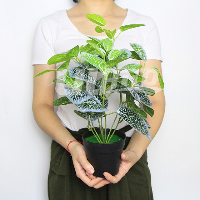 ����ֲ��С���԰׾W�y��