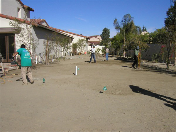 С�͸ߠ���������÷����ƺ��bǰ