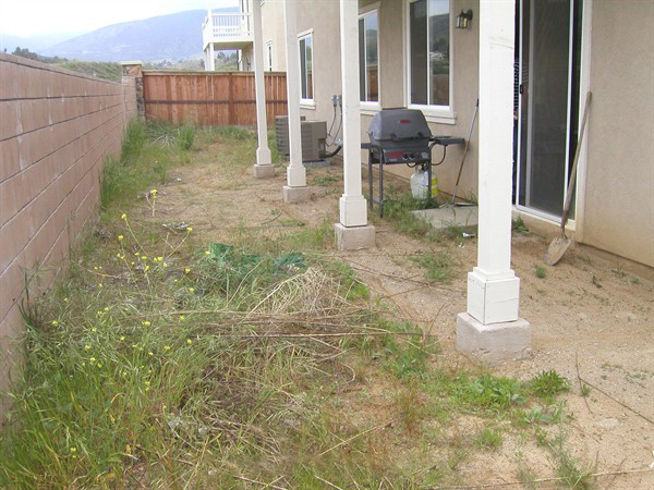 ��Ժ��b�����ƺ֮ǰЧ���D